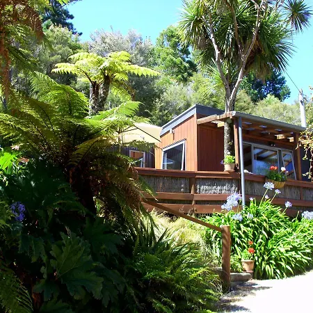 Cabbage Tree Chalet Parapara Room photo