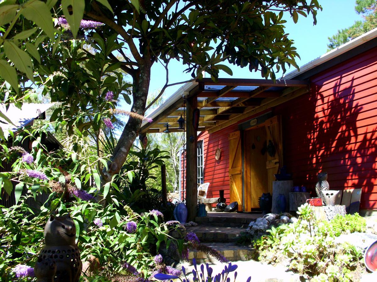 Chalet Cabbage Tree *