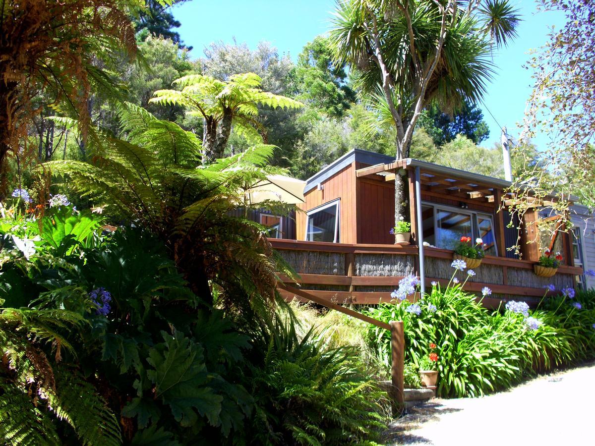 Chalet Cabbage Tree