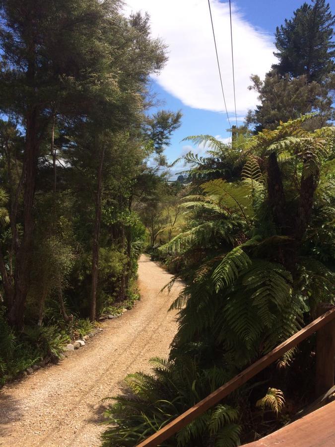 Cabbage Tree Chalet *